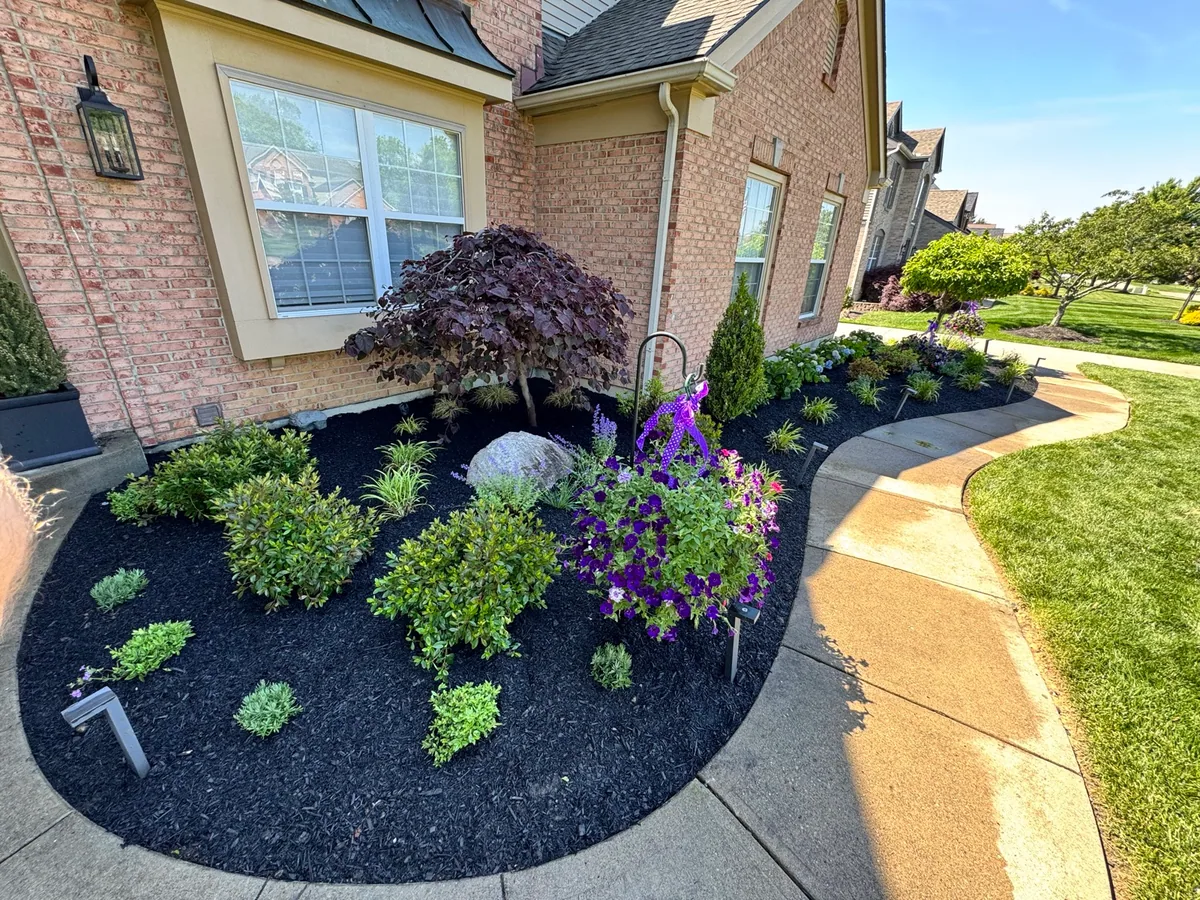 Front landscape installation completed by Queen City Hardscapes