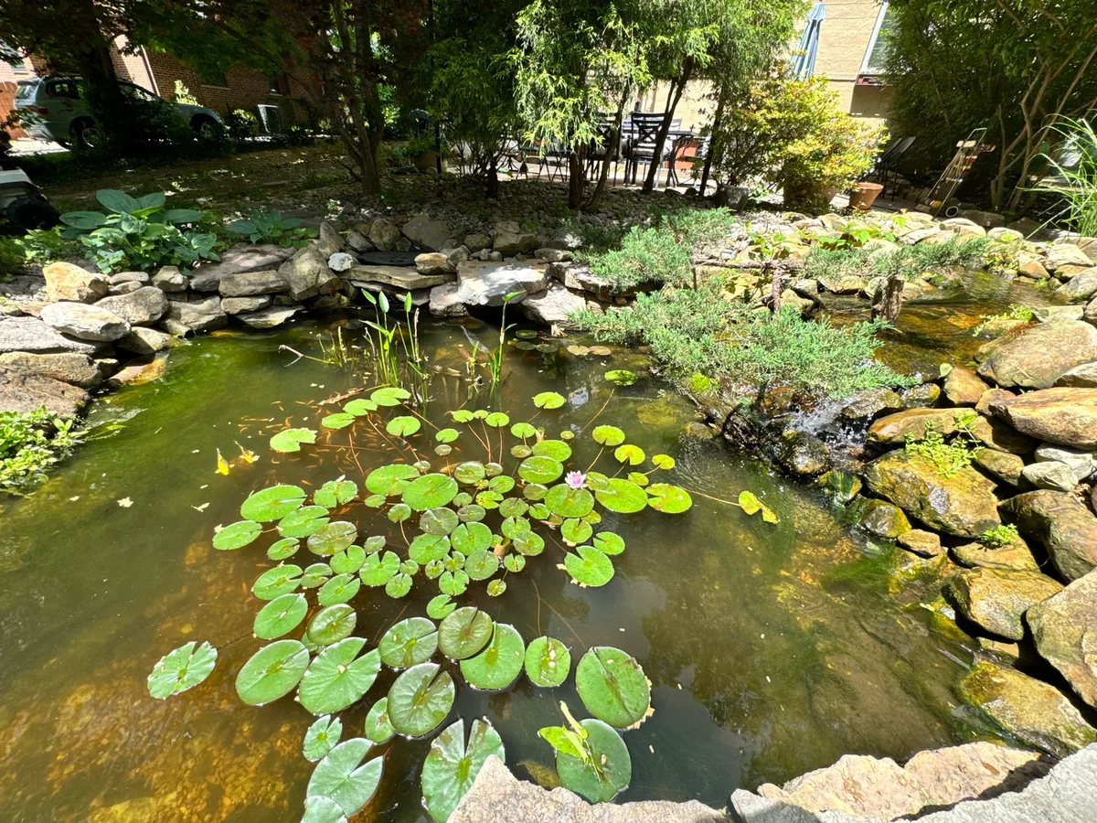 Garden pond completed by Queen City Hardscapes